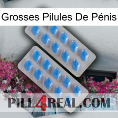 Grosses Pilules De Pénis 23